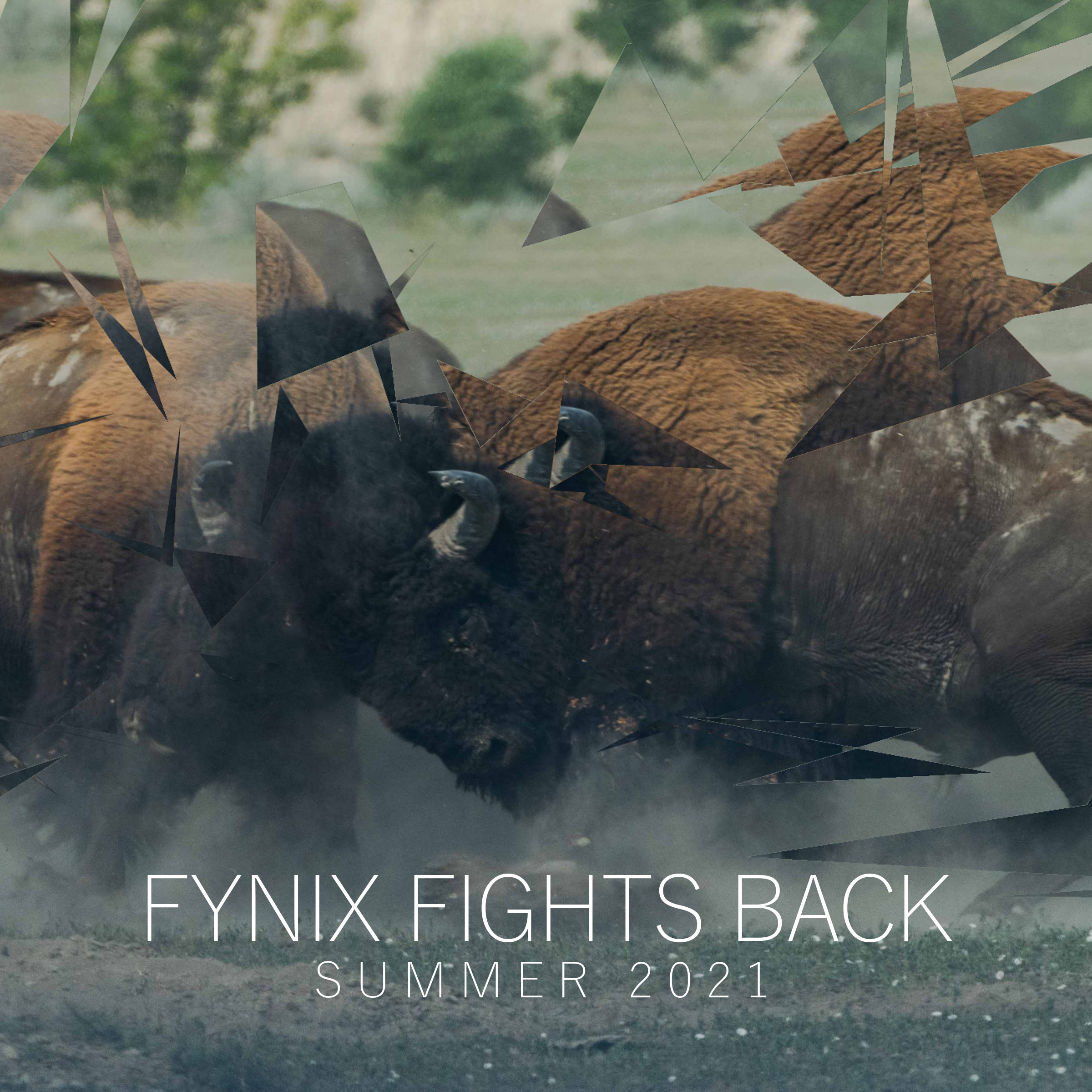 Fynix Fights Back