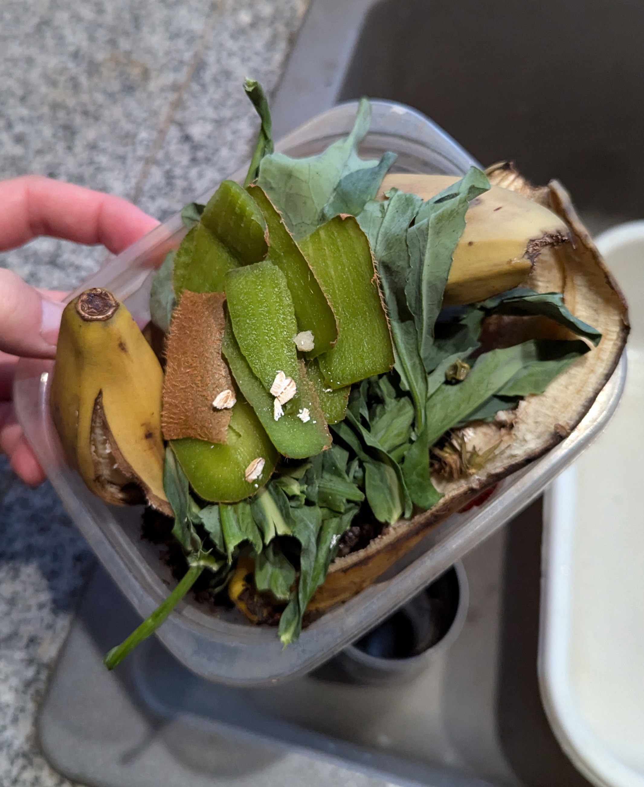 Kitchen scraps that are ready for composting.